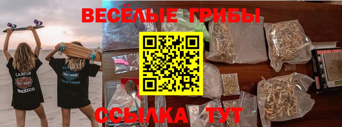 Рубцовск  Псилоцибиновые грибы Psilocybine cubensis  Вход с VPN 