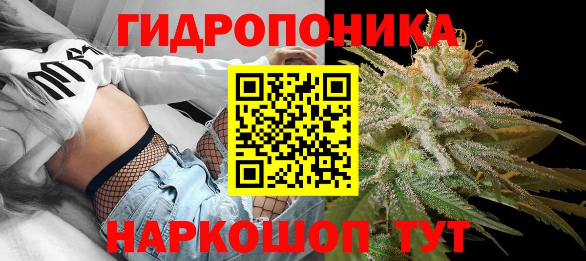 Бошки марихуана OG Kush  Марихуана OG Kush  Рубцовск  Вход с VPN  Бошки Шишки конопля 